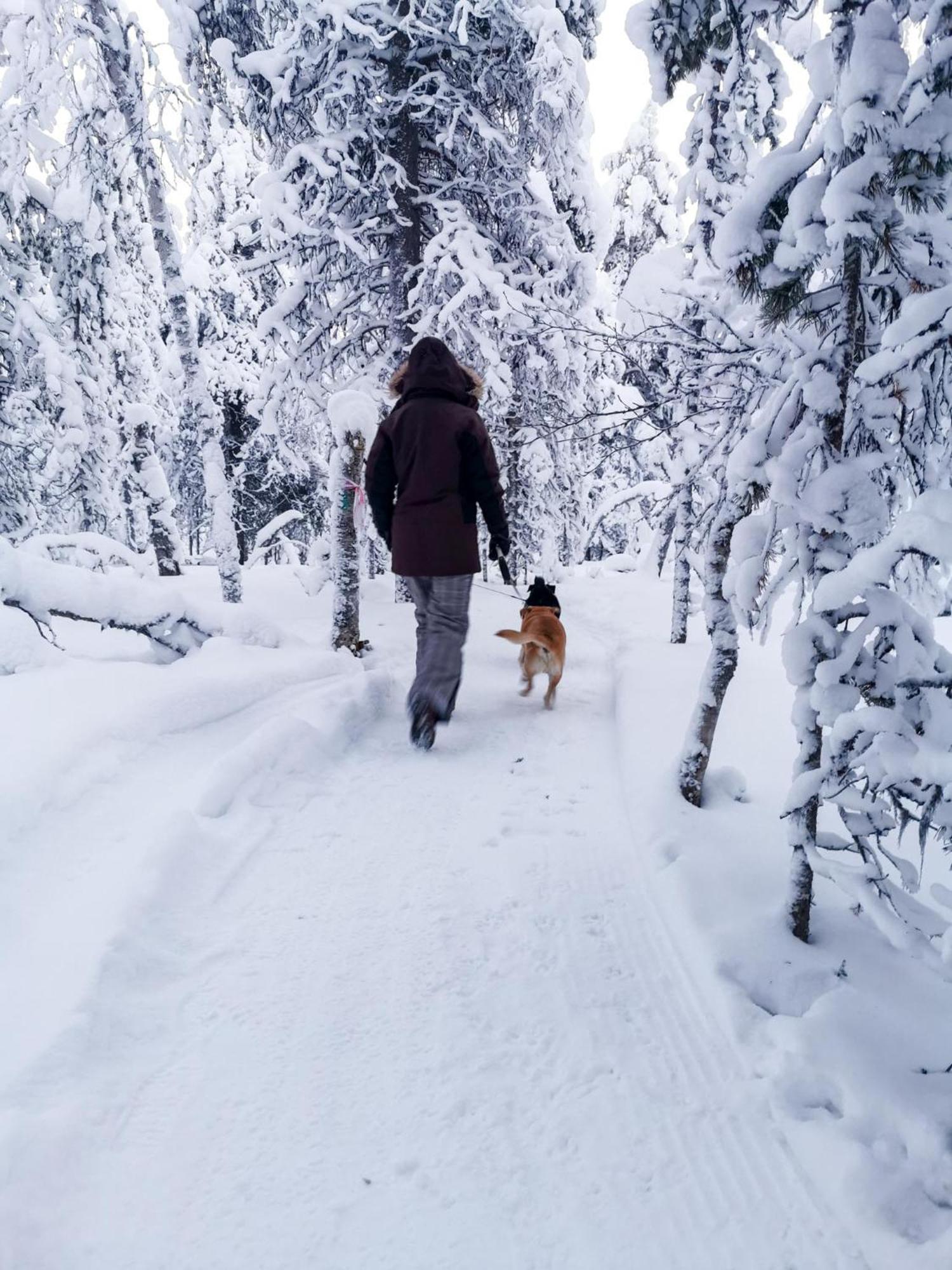 Appartement Luttotupa à Saariselkä Extérieur photo